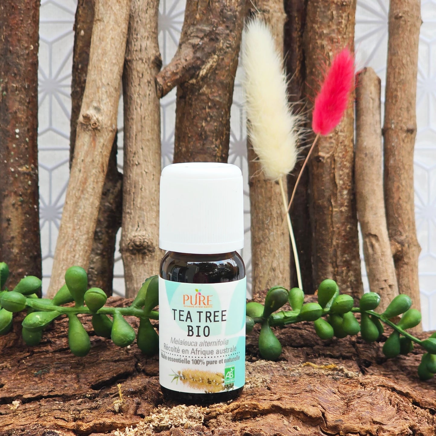 Huile essentielle de Tea tree Bio